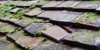 Stow Park roof repair costs